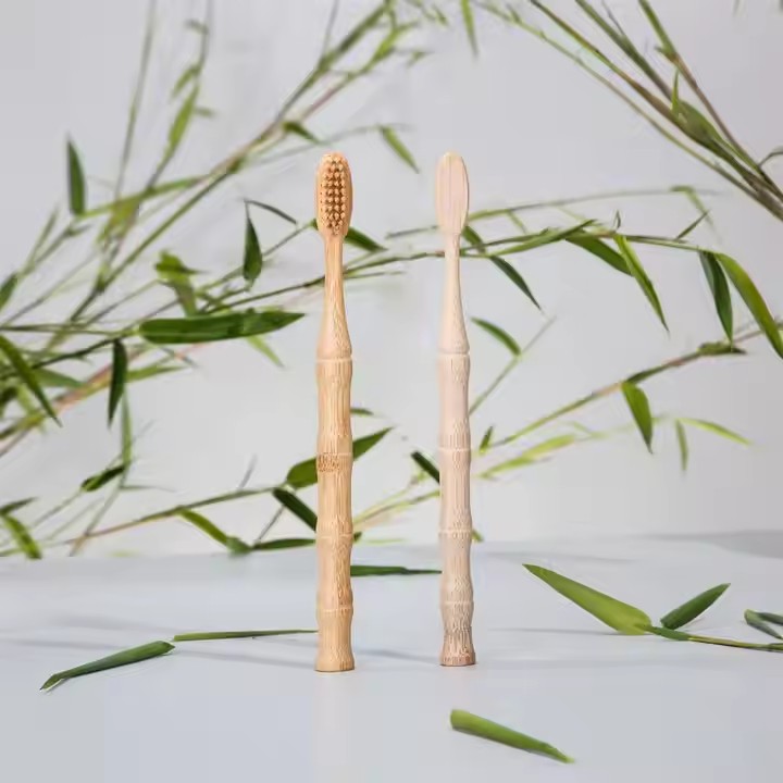 Why Choose a Bamboo Toothbrush?