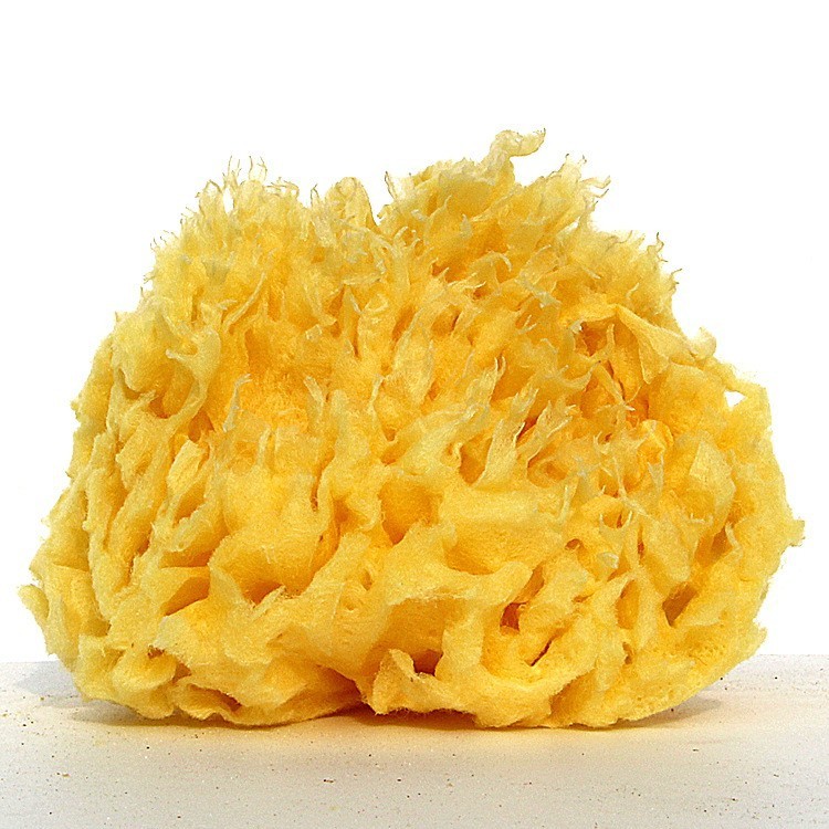 What Makes Greece Natural Sponge a Gift from the Aegean Sea?
